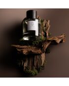 Perfume mixto Balade in Autumn, 100 ml