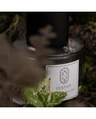 Perfume mixto Balade in Autumn, 100 ml