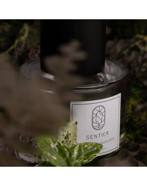 Profumo misto Balade in Autumn, 100 ml