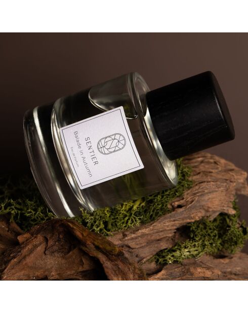 Profumo misto Balade in Autumn, 100 ml