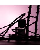 Eau de Parfum mixte Rose Taif  - 100 ml