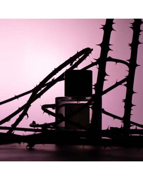 Eau de Parfum mixte Rose Taif  - 100 ml