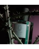 Eau de Parfum mixte Rose Taif  - 100 ml