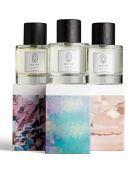 3 Statement Eau de Parfum: Oud Gaiac + Le Marais + Rose Taif