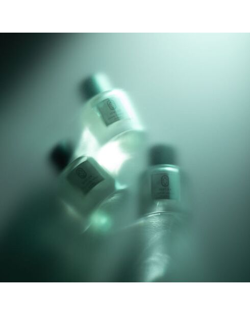 3 raffinierte Eaux de Parfume: Erinnerung an die Zeit + Balade im Herbst + Path of Lemons