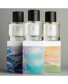 3 Muse Eaux de Parfum: Ran + Rose Taif + Monde à Part