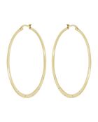 Boucles d'oreilles en Acier doré & Oxyde de Zirconium