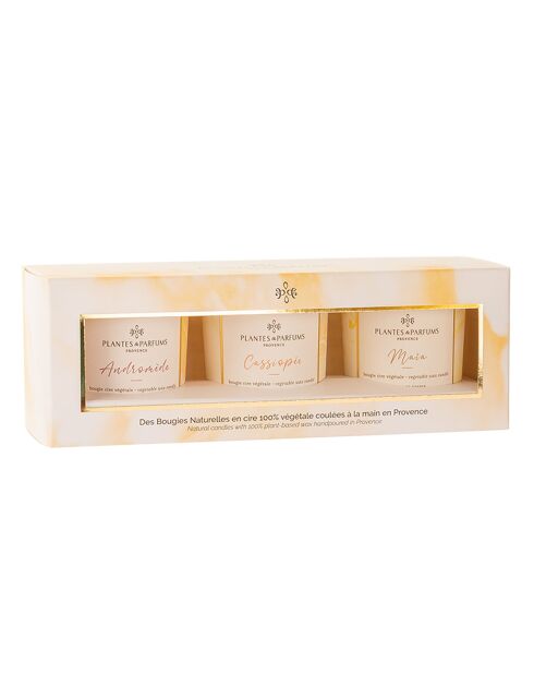 Coffret 3 Bougies Végétales : Andromède, Cassiopée, Maïa  - 1 mèche 15h