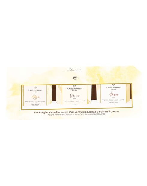 Set mit 3 Gemüsekerzen: Orion, Alya, Vénus - 1 Docht 15h