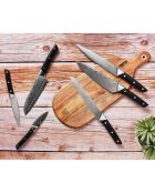 6 Couteaux de cuisine Erling inox mat
