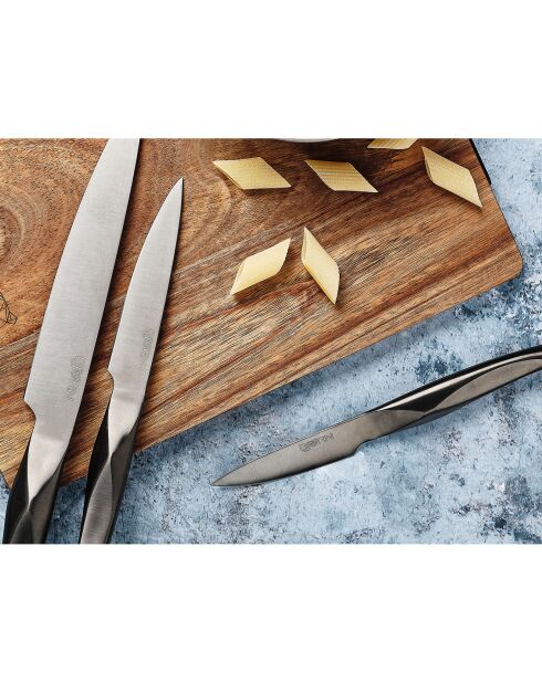 Block mit Küchenmessern und Steakmessern Larus Loviisa metallgrau - 14 Stück