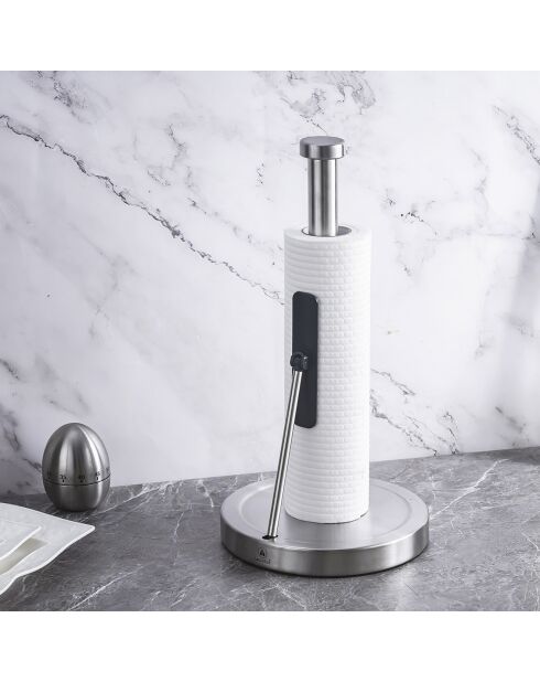 Silver Harmony Papierhandtuchhalter - D.8x34,5 cm