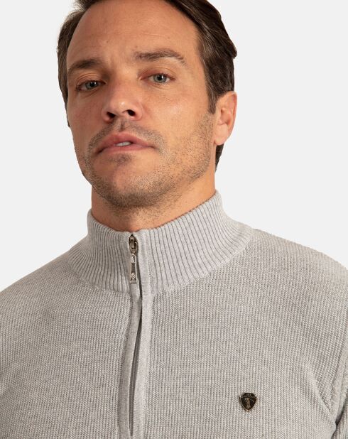 Pull Col Roulé Pulse gris