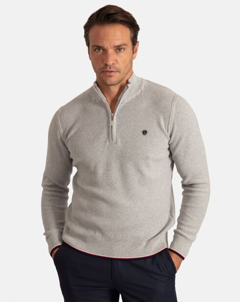 Pull Col Roulé Pulse gris