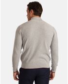 Pull Col Roulé Pulse gris