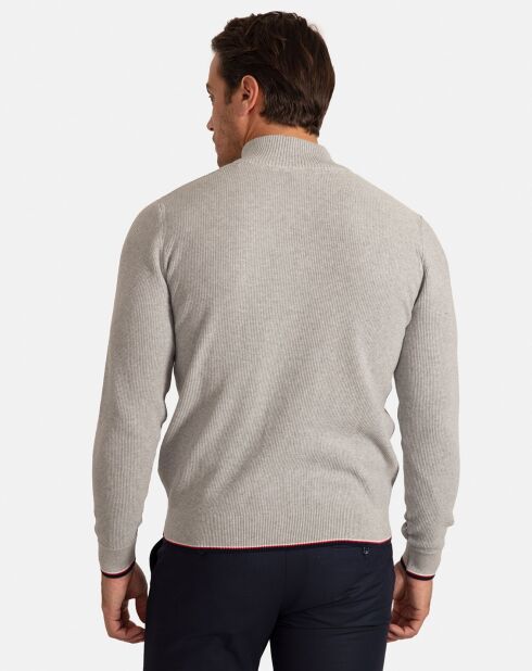 Pull Col Roulé Pulse gris