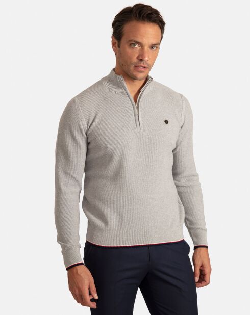 Pull Col Roulé Pulse gris