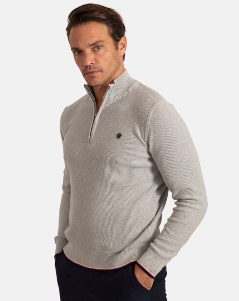 Pull Col Roulé Pulse gris