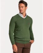 Pull col V Santos vert