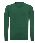 Pull col V Santos vert