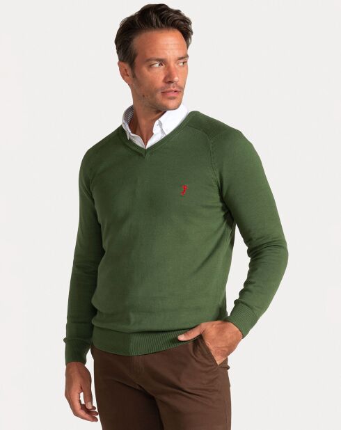 Pull col V Santos vert
