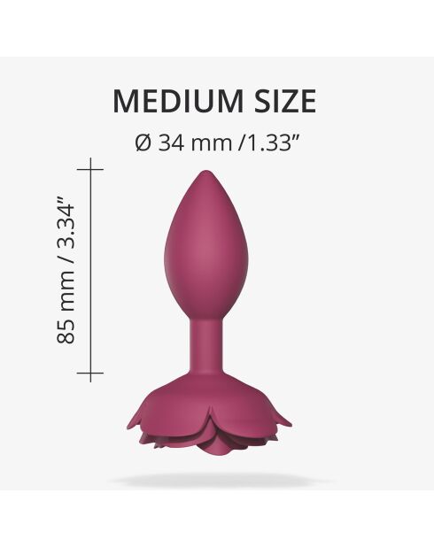 Plug open roses plum star rose