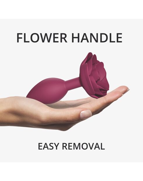 Plug open roses plum star rose