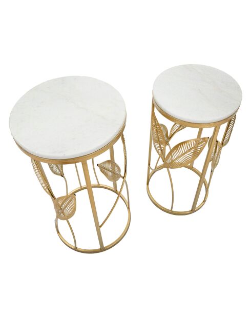 2 consoles met bladgoud