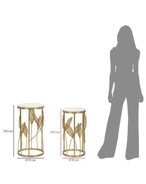 2 consoles met bladgoud