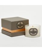 Bougie parfumée Metallic Feu de Bois - 1 mèche 16h