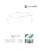 Table de salle à manger avec plateau  transparent/argenté - 180x95x75 cm