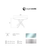 Table de salle à manger plateau en verre transparent/argenté - 120x120x75 cm