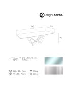 Table de salle à manger avec plateau en verre transparent/argenté - 240x120x75 cm