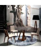 Chaise de table de salle à manger vison/noyer - 46x59x82 cm