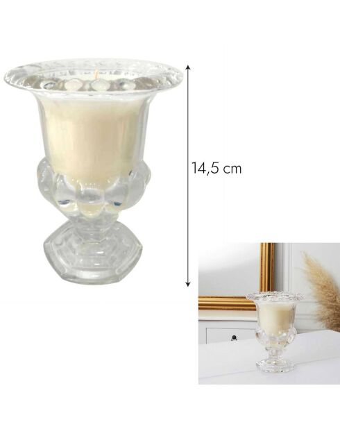 Vela aromática Medicis con forma de jarrón Medicis con forma de ámbar y peonía, 1 mecha transparente, 18 x 22,3 x 18 cm