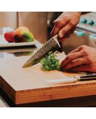 Couteau santoku martelé cm avec protection de lame Carbon noir - 30x3x3 cm