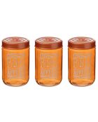 3 bocaux multicolores - 660 ml
