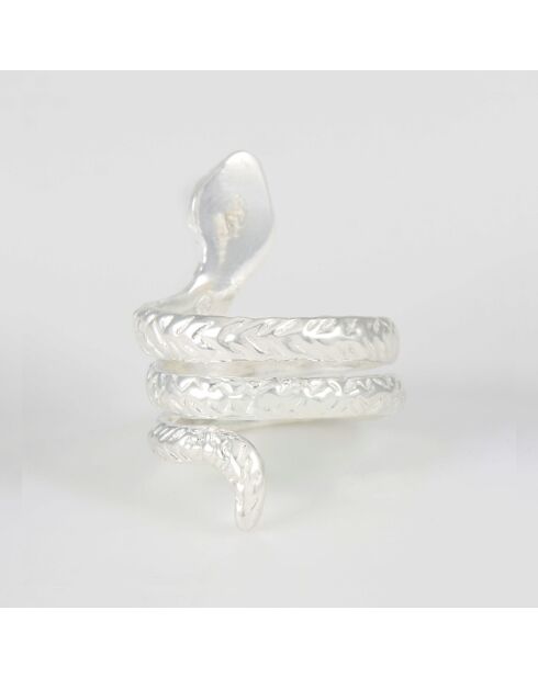 Bague Eole en Argent
