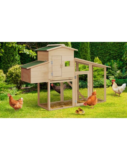 Poulailler en bois Gelina avec pondoir intégré - 3 poules bois/vert