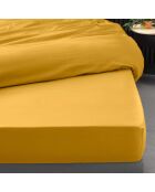 Drap housse 100%  percale de coton Percaline curry