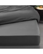 Drap housse 100%  percale de coton Percaline acier