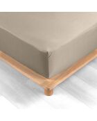 Drap housse 100%  percale de coton Percaline sable