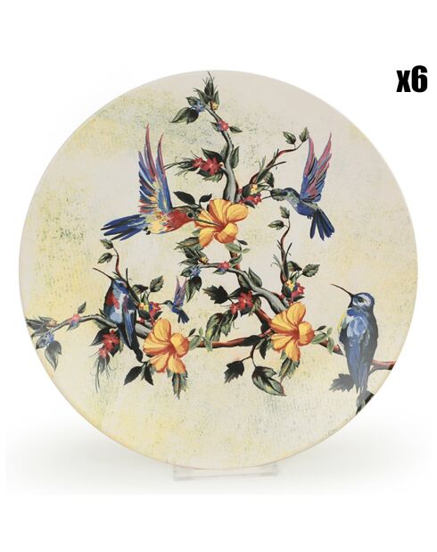 6 Assiettes plates multicolores - 26cm