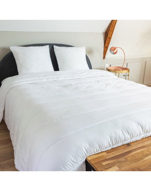 Couette Chaude Anti acariens Greenfirst  blanche - 260x240 cm