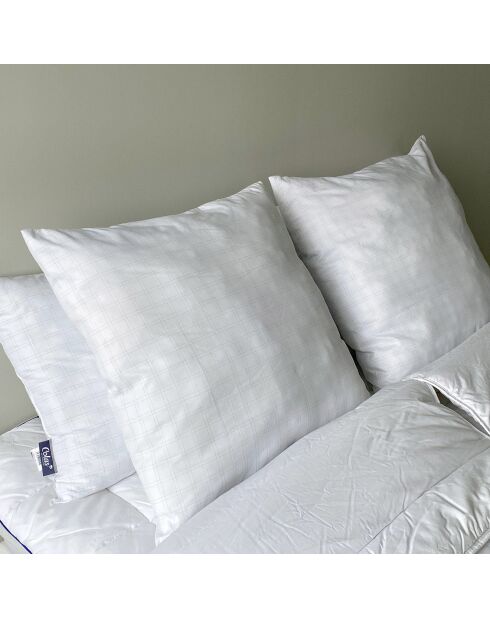 2 Oreillers moelleux anti-Static Moelleux blancs - 60x60 cm