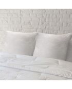 Oreiller moelleux Microfibre Bubble  blanc - 65x65 cm