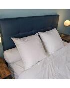 2 Oreillers moelleux Microfibre Passepoil blancs - 60x60 cm