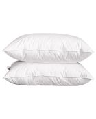 2 Oreillers moelleux Microfibre Passepoil blancs - 60x60 cm