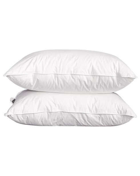 2 Oreillers moelleux Microfibre Passepoil blancs - 60x60 cm
