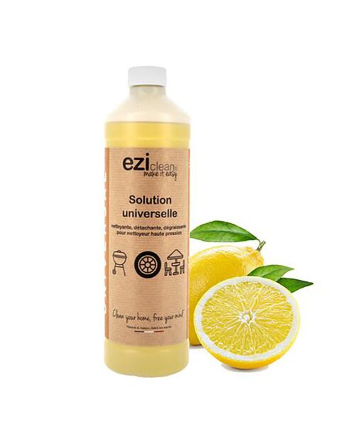 Nettoyant universel Hydroforce - 1L